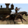 Switch Red Dead Redemption - 1533881 - zdjęcie 3